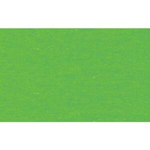 Ursus TONKARTON 220G.50x70CM,GRASGRÜN