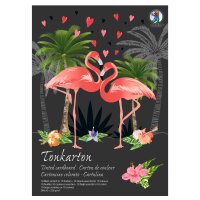 Ursus SONDEREDITIONS-TONKTN.220G.DIN A3,10BL.10F.SORT