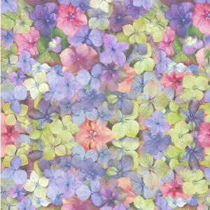 Ursus SCRAPB.PAPER TRANSP.12"x12",5BL.FLORA HORTENS