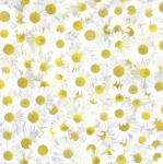 Ursus SCRAPB.PAPER TRANSP.12"x12",5BL.FLORA...