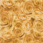 Ursus SCRAPB.PAPER TRANSP.12"x12",5BL.ROSEN...