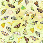 Ursus SCRAPB.PAPER...