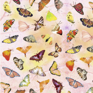 Ursus SCRAPB.PAPER TRANSP.12"x12",5BL.SCHMETTERL.RO