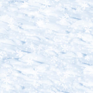 Ursus SCRAPB.PAPER FOTOKTN.12"x12",5BL.SCHNEE