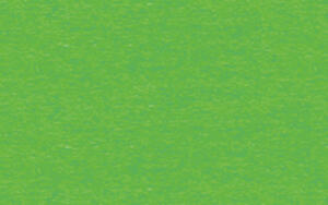 Ursus FK-SCHULTÜTEN 41CM HOCH,10ST.GRASGRÜN