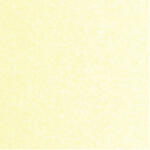 Ursus SCRAPB.PAPER STARLIGHT 12"x12",5BL.CHAMOIS