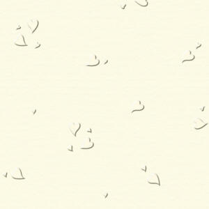 Ursus SCRAPB.PAPER ELEGANCE 12"x12",5BL.HERZEN ELFE