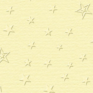 Ursus SCRAPB.PAPER ELEGANCE 12"x12",5BL.STERNE CHAM
