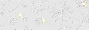 Ursus TRANSP.PAPIER "WHITE LINE GLITTER"180G.A4,25BL.