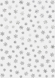 Ursus TRANSP.PAPIER "SILVER STYLE"115G.A4,25BL.