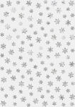 Ursus TRANSP.PAPIER "SILVER STYLE"115G.A4,25BL.