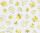 Ursus TRANSP.PAPIER "GOLDEN STYLE"115G.A4,5BL.