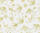 Ursus TRANSP.PAPIER "GOLDEN STYLE"115G.A4,5BL.