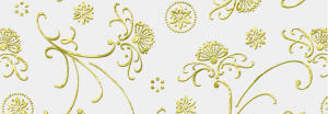 Ursus TRANSP.PAPIER "GOLDEN STYLE"115G.A4,25BL.