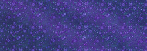 Ursus HOLOGRAMMFOLIE"STERNENSTAUB"100MY,35x50CM,DBL