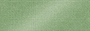 Ursus STRUKT.PEARL 1, 220G.DIN A4,25BL.AVOCADO