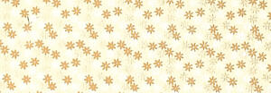 Ursus INDIAN STYLE "TARIQ"100G.23x33CM,5BL.MOT.04