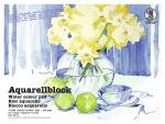 Ursus AQUARELLP.200G.30x40CM,10BL.RAUH