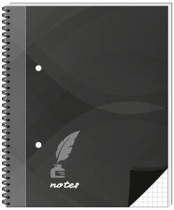 RNK Spiral Notizb. notes carbon black DIN A5 kariert 96Bl