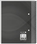 RNK Spiral Notizb. notes carbon black DIN A5 kariert 96Bl