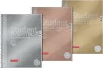 BRUNNEN Collegeblock A4 Lineatur 27 Metallicfarben