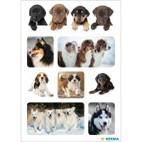 Herma Sticker DECOR Tiere Hundelieblinge 3 Bl