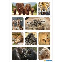Herma Sticker DECOR Tiere Tiere Afrikas 3 Bl