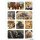 Herma Sticker DECOR Tiere Tiere Afrikas 3 Bl