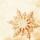 SIGEL DP234 Weihnachts-Motiv-Papier - Sterne - gold - 90 g/m² - A4 - 100 Blatt