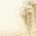 SIGEL DP299 Motiv-Papier - Champagner - creme - 90 g/m² - A4 - 100 Blatt