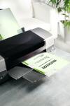 SIGEL DP463 Motiv-Papier - Narzissen - grün/weiß - 90 g/m² - A4 - 25 Blatt