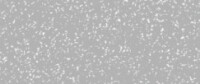 KREUL Javana Konturenfarbe Perlglanz-Effekt Silber 20 ml...