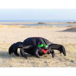 HQ Windspiel Bouncing Buddy Spider