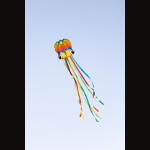 HQ Stabloser Drachen Rainbow Octopus