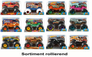 Hot Wheels Monster Trucks Die Cast Sortiment 1:24