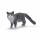Spielzeugfigur Maine-Coon Katze SCHLEICH 13893