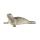 Schleich Wild Life Seehund 4055744018084