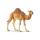Schleich Wild Life Dromedar 4059433039671
