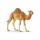 Schleich Wild Life Dromedar