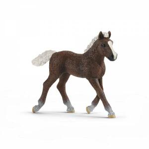 Spielzeugfigur Schwarzwälder Fohlen SCHLEICH 13899