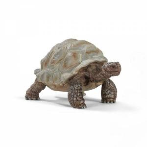 Spielzeugfigur Riesenschildkröte SCHLEICH 14824