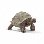Spielzeugfigur Riesenschildkröte SCHLEICH 14824