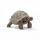 Spielzeugfigur Riesenschildkröte SCHLEICH 14824