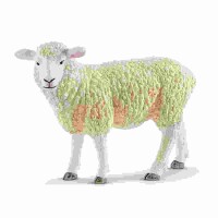 Schleich Farm World Schaf
