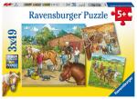 Ravensburger Puzzle 3x49 Teile Mein Reiterhof - ab 5 Jahren