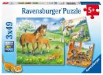Ravensburger Puzzle 3x49 Teile Kuschelzeit - ab 5 Jahren