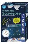 Experimentierset Wuselnde Salzkrebse KOSMOS 654160 350g