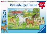 Ravensburger Puzzle 2x24 Teile Pferde - Auf dem Pferdehof...