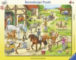 Ravensburger Rahmenpuzzle 40 Teile Pferde - Auf dem...