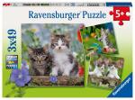 Ravensburger Puzzle 3x49 Teile Katzen - Süße...